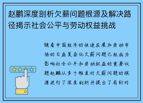 赵鹏深度剖析欠薪问题根源及解决路径揭示社会公平与劳动权益挑战